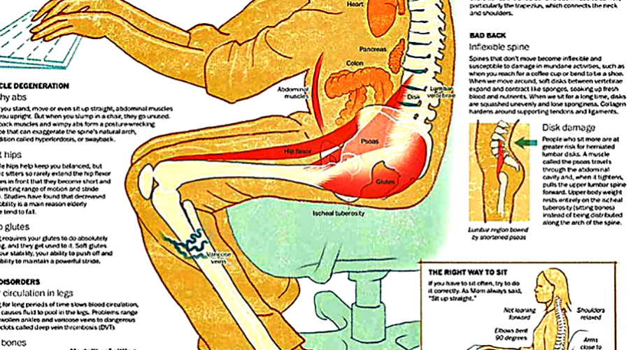 scientists-what-sitting-too-long-does-to-your-body