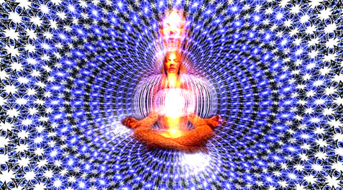 top-9-foods-for-raising-vibration