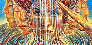 6-roles-all-humans-are-playing