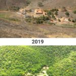 Couple Spends 20 Years Replanting An Entire Forrest And The Results Are Remarkable