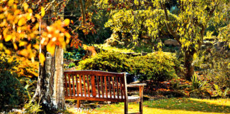 how-to-create-garden-oasis