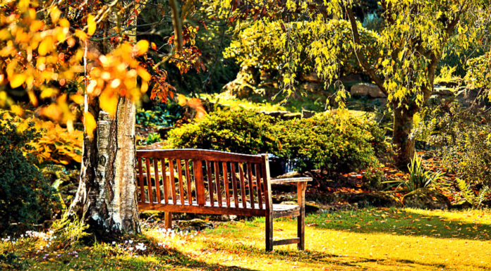 3 Simple Steps How To Create Your Own Garden Oasis how-to-create-garden-oasis