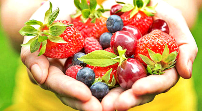 The 3 Ways To Look At Food So You Can Make Better Choices By Yourself ways-to-look-at-food-so-you-can-make-better-choices-by-yourself