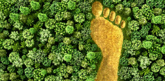 how-you-can-reduce-your-energy-footprint-on-the-planet