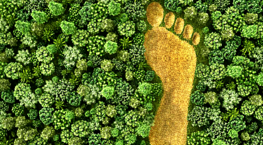 how-you-can-reduce-your-energy-footprint-on-the-planet