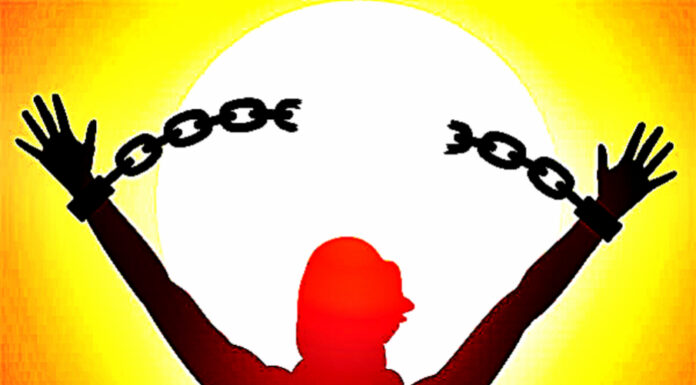 how-to-be-free