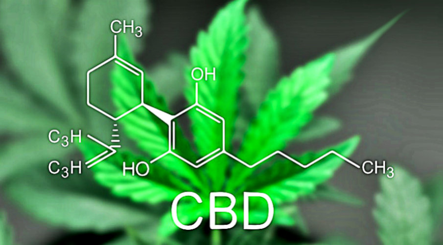 health-benefits-of-cbd-oil