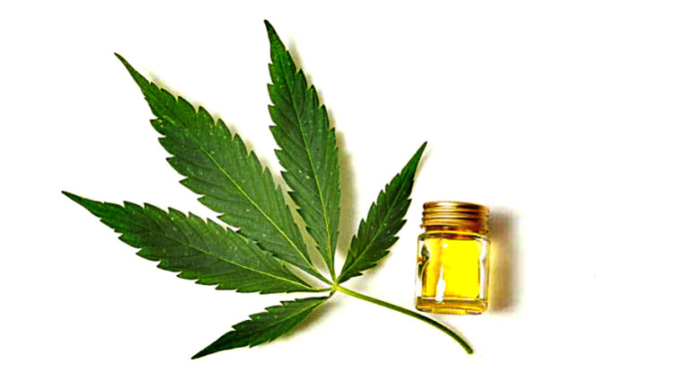 cbd-oil-how-can-we-use-it-to-stay-healthy