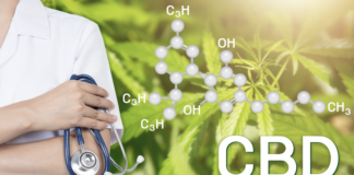 how-cbd-works-inside-your-body