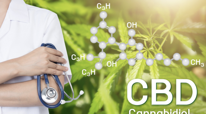 Medical Cannabis, Everything You Need to Know About How CBD Works Inside Your Body and The Effects It Has how-cbd-works-inside-your-body