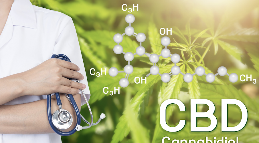 how-cbd-works-inside-your-body