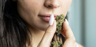 everything-to-know-about-cbd-hemp-flower