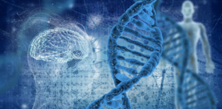 merge-the-modern-and-the-holistic-approach