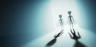 most-common-dreams-and-their-hidden-meanings