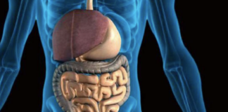 everything-about-acarbose-and-its-benefits