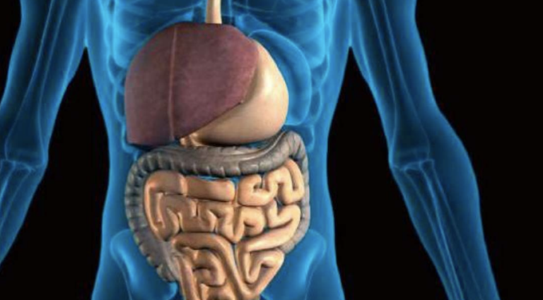 everything-about-acarbose-and-its-benefits