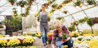 how-carbon-filters-work-and-protect-your-health