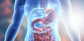 how-to-improve-your-gut-biome