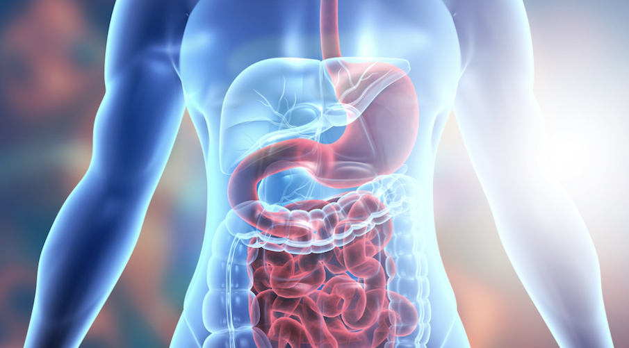 how-to-improve-your-gut-biome