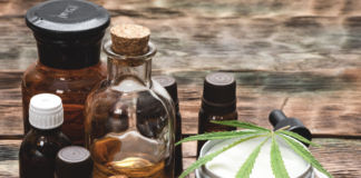 beginners-guide-to-cbd