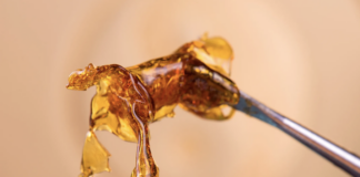 how-to-dab-like-a-pro