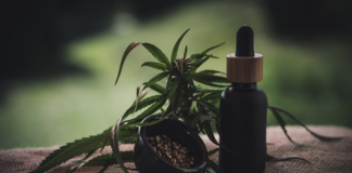 benefits-of-cbd-oil-a-fad-or-reality