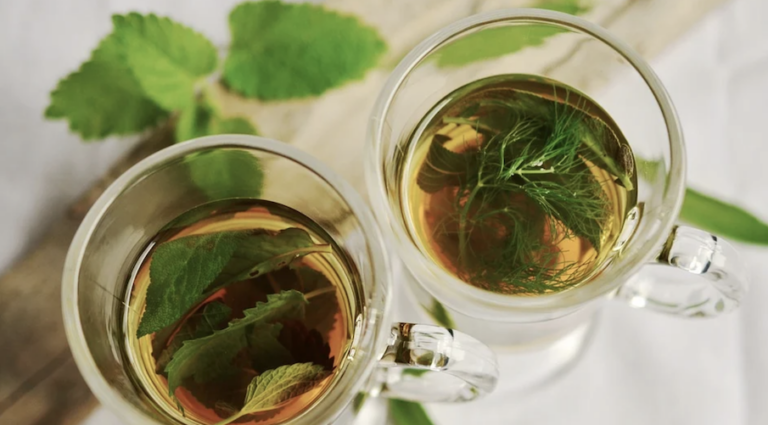 top-power-herbs-to-fight-winter-with