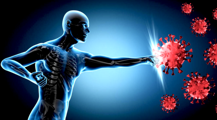 Top 8 Essential Habits for Keeping Your Immune System Strong and Healthy essential-habits-for-keeping-your-immune-system-strong