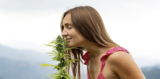 main-health-benefits-of-weed