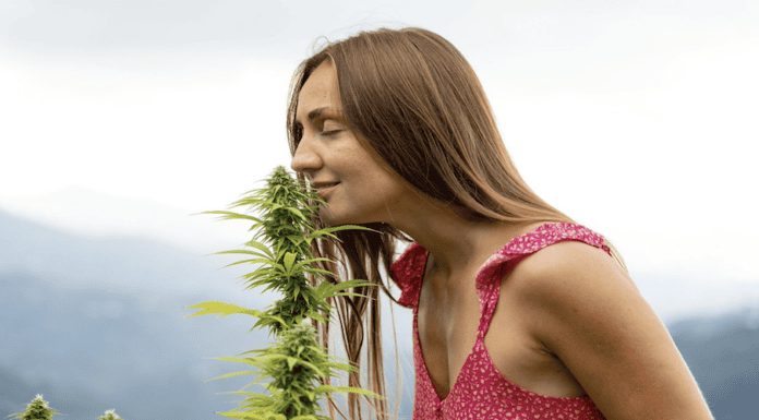 The 4 Main Health Benefits of Weed main-health-benefits-of-weed
