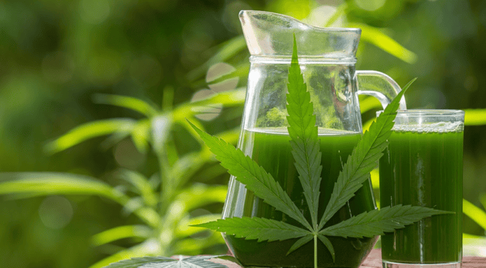 thc-vs-thca-flower-differences