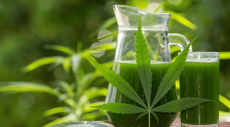 thc-vs-thca-flower-differences