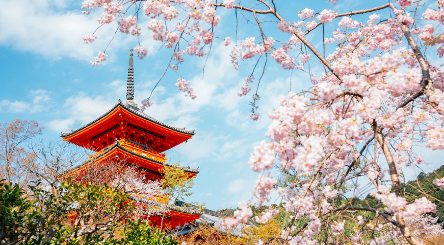 Serenity of Kyoto, Japan