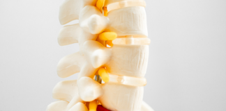 understanding-slipped-discs