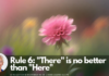 10-rules-for-being-human-rule-6
