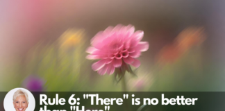 10-rules-for-being-human-rule-6