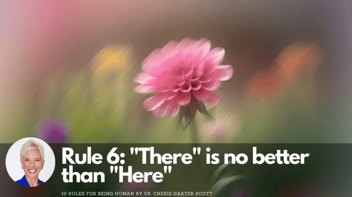 10-rules-for-being-human-rule-6