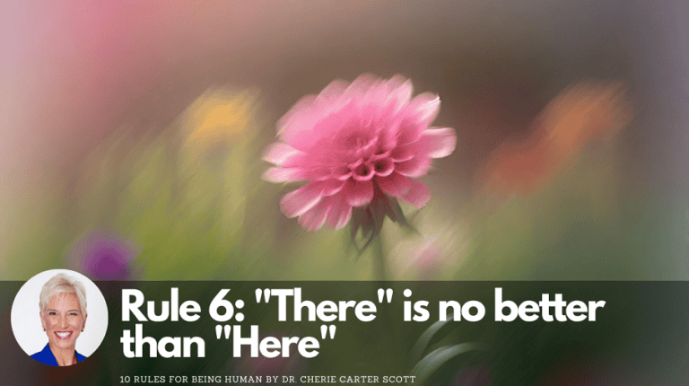 10-rules-for-being-human-rule-6