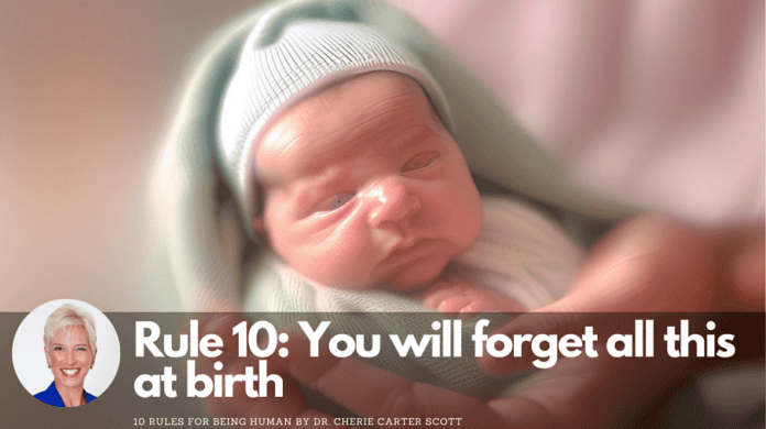 10-rules-for-being-human-rule-10