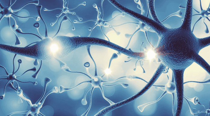 power-of-breath-calm-your-nervous-system