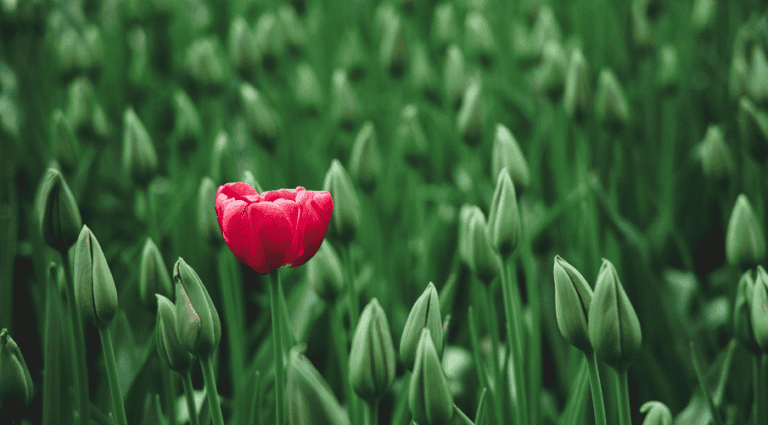 Thrive-as-a-Neurodivergent-In-Your-Career