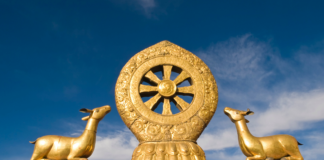 essence-of-brahmacharya