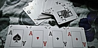 How to Safely Discover the Perfect Online Casino Platform in South Africa how-to-safely-discover-the-perfect-online-casino-platform