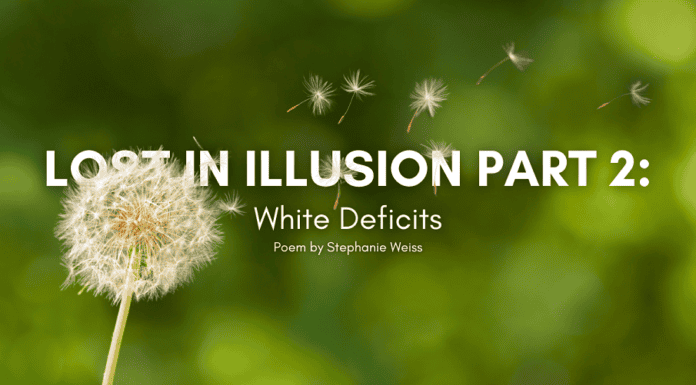 lost-in-illusion-part-2