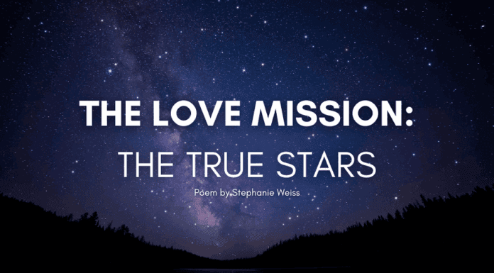 The Love Mission The True Stars love-mission-the-true-stars