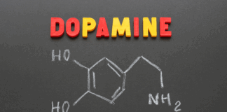 Slot Games and Dopamine: Hacking Your Brain’s Reward System hacking-your-brains-reward-system