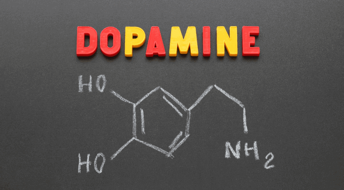 hacking-your-brains-reward-system