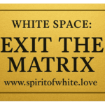 Stephanie Golden Ticket to Escape The Matrix