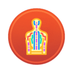 WEEK 12 UPGRADE LOGO