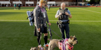 Is the Dog Service Market Howling for Innovation in 2025? dog-service-market-in-2025